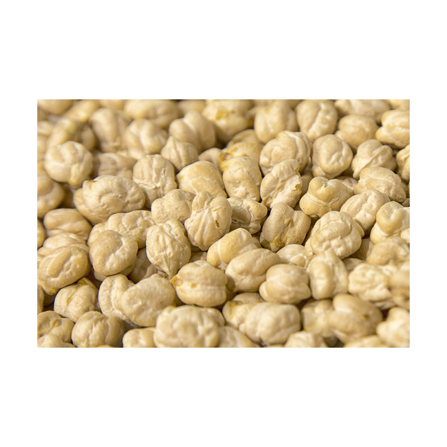 GARBANZO GIGANTE LECHOSO